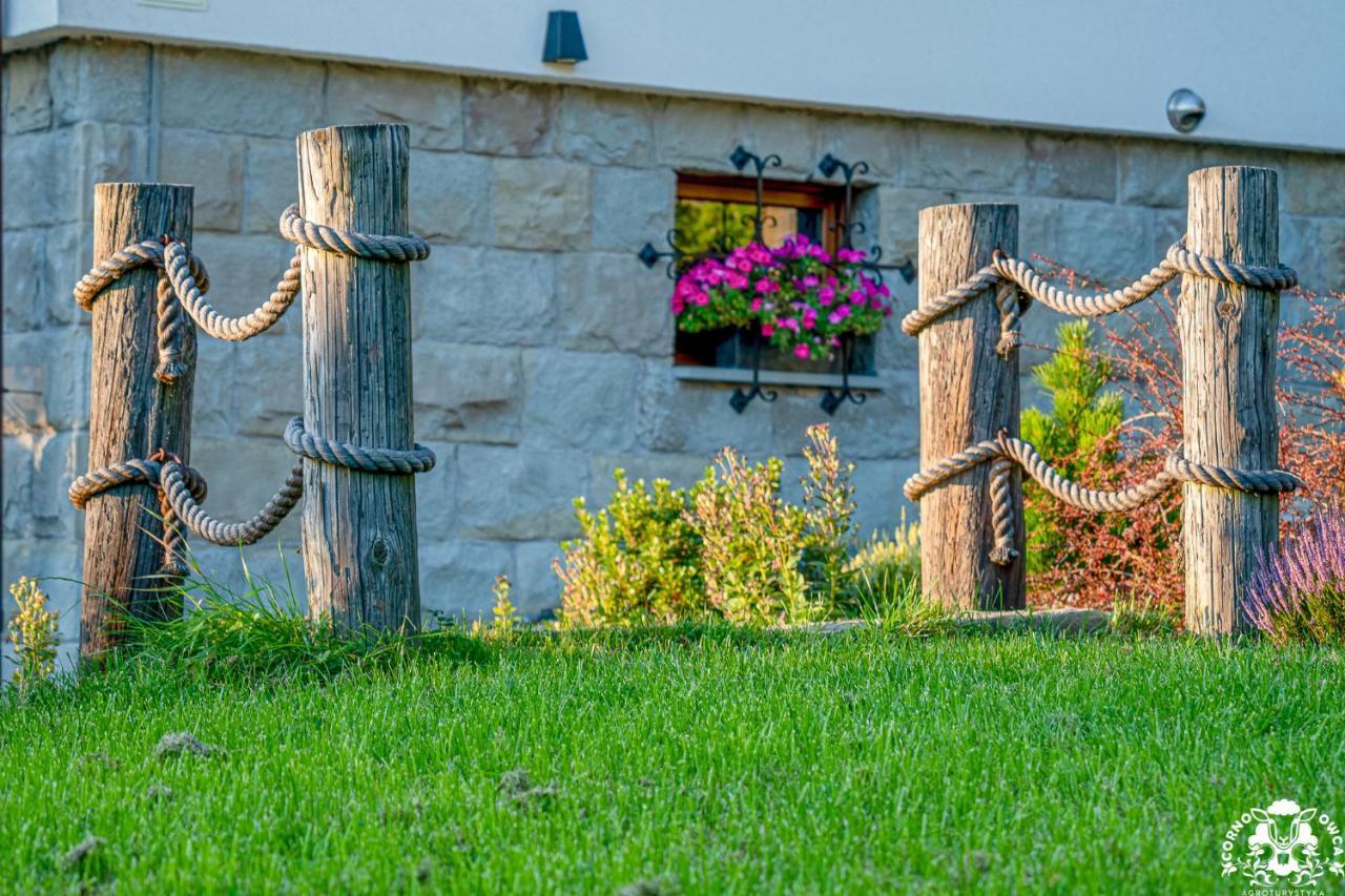 Agroturystyka Corno Owca Zabnica Exterior photo